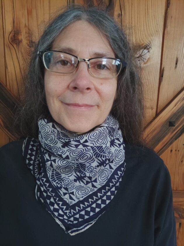 ‘Lifetime resident’ announces run for Wellsboro council News, Sports, Jobs Williamsport Sun